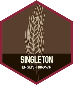 Singleton